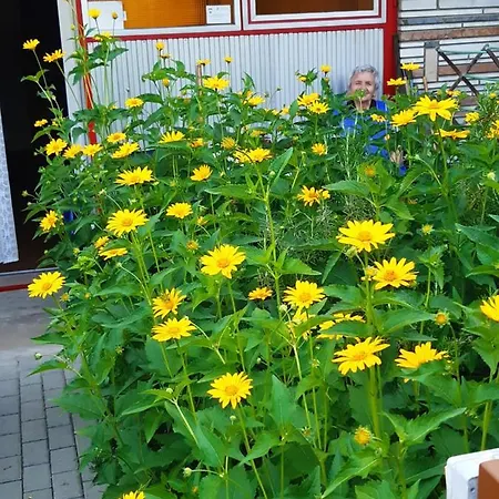 Rideg דירה Hévíz